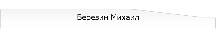 Березин Михаил