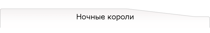 Ночные короли