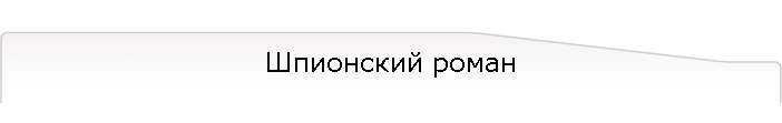 Шпионский роман