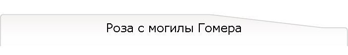 Роза с могилы Гомера