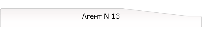 Агент N 13