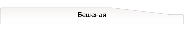 Бешеная