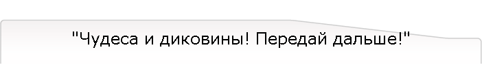 "Чудеса и диковины! Передай дальше!"