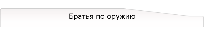 Братья по оружию