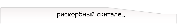 Прискорбный скиталец