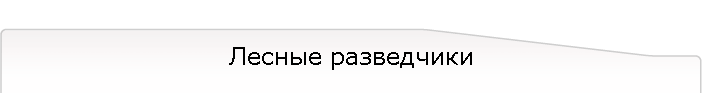 Лесные разведчики