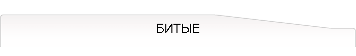 БИТЫЕ