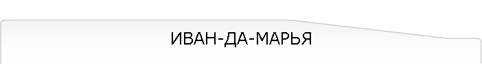 ИВАН-ДА-МАРЬЯ