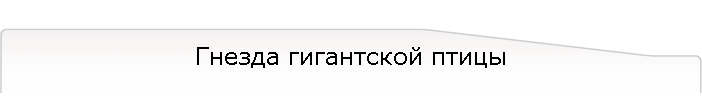 Гнезда гигантской птицы