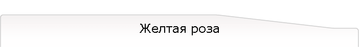 Желтая роза