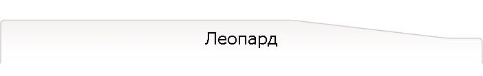 Леопард