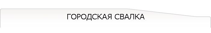 ГОРОДСКАЯ СВАЛКА